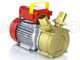 Rover BE-M 40 - Pompa elettrica da travaso in bronzo - Monofase - 230V