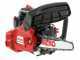 AL-KO BKS 2625 TSB - Motosega a scoppio da potatura - Lama Carving 25cm