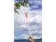 Stocker Art. 502 - Forbice da potatura con asta fissa 120 cm - &Oslash; 10 mm - taglio orientabile