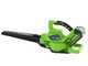 Soffiatore - Aspiratore a batteria Greenworks GD40BV