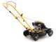 Rasaerba mulching Stiga Multiclip 47 a spinta - Con motore a scoppio 123 cc OHV
