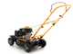 Rasaerba mulching Stiga Multiclip 47 a spinta - Con motore a scoppio 123 cc OHV
