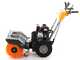 STIGA SWS800G - Motospazzatrice a scoppio con motore Loncin LC 170F
