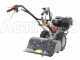 Benassi MC2300C - Motocoltivatore benzina - Hwasdan H170 - 5.5HP