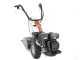 Benassi MC2300C - Motocoltivatore benzina - Hwasdan H170 - 5.5HP