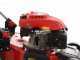 GeoTech-Pro S46-175 BMSW - Tosaerba a scoppio - Motore GeoTech da 173cc