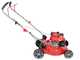 GeoTech S41-130 B - Tosaerba a scoppio - Motore GeoTech da 132cc