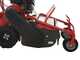 Blue Bird FM600 - Trinciaerba professionale a martelli - Loncin LC175F-2
