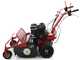 Blue Bird FM600 - Trinciaerba professionale a martelli - Loncin LC175F-2