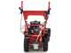 Blue Bird FM600 - Trinciaerba professionale a martelli - Loncin LC175F-2