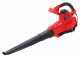 Einhell GC-EL 3000 E - Soffiatore aspiratore per foglie elettrico