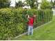 Einhell GE-HC 18 Li T - Potatore - Tagliasiepi su asta di prolunga telescopica a batteria - 18V 2.5Ah