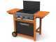 Campingaz 3 Series Adelaide 3 Woody Dualgas - Barbecue a gas o metano