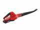Einhell GE-CL 18 Li E - Soffiatore a batteria per foglie 18V 2Ah