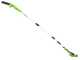 Greenworks G40PSF - Potatore a batteria 40V - A spalla su asta di prolunga - SENZA BATTERIA e CARICABATTERIA