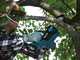 Makita DUC122 LXT - Elettrosega a batteria 18V 3Ah - Lama da 11.5cm
