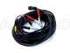 Castellari Fenix L V2 - Abbacchiatore elettrico a batteria tipo auto con cavo in dotazione - Asta telescopica in carbonio 230/320  cm