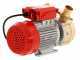 Rover BE-M 50 - Pompa elettrica da travaso in bronzo