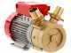 Rover BE-M 50 - Pompa elettrica da travaso in bronzo