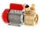 Rover BE-M 50 - Pompa elettrica da travaso in bronzo - Monofase - 230V