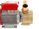 Rover BE-M 50 - Pompa elettrica da travaso in bronzo - Monofase - 230V