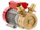 Rover BE-M 50 - Pompa elettrica da travaso in bronzo - Monofase - 230V