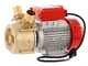 Rover BE-M 50 - Pompa elettrica da travaso in bronzo - Monofase - 230V