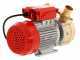 Rover BE-M 50 - Pompa elettrica da travaso in bronzo