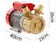 Rover BE-M 50 - Pompa elettrica da travaso in bronzo