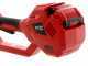 Blue Bird R3S - Tagliasiepi su asta di prolunga telescopica elettrico a batteria 40V/2,5Ah
