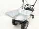 Eurosystems Carry - Motocarriola a ruote a semovenza trazionata 100Kg