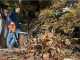 Marina Systems GRINDER ZERO SH - Tagliaerba mulching trazionato - Motore Honda GCVx 200 - Taglio 52 cm