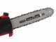 Blue Bird R3S 40V - Potatore a batteria su asta telescopica - fino a 4m con operatore