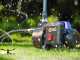 Annovi &amp; Reverberi ARGP 600P - Pompa autoadescante da giardino - a basso consumo energetico