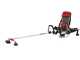 Blue Bird GX 50 ZP - Decespugliatore a zaino 4 tempi - Motore GX 50 ZP
