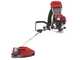 Blue Bird GX 50 ZP - Decespugliatore a zaino 4 tempi - Motore GX 50 ZP