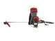 Blue Bird GX 50 ZP - Decespugliatore a zaino 4 tempi - Motore GX 50 ZP