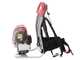 Blue Bird GX 50 ZP - Decespugliatore a zaino 4 tempi - Motore GX 50 ZP