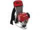 Honda GX 50 ZP - Decespugliatore a zaino a benzina 4 tempi - Asta Blue Bird