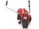 Blue Bird GX 50 M - Decespugliatore a benzina 4 tempi - Motore Honda GX 50 M