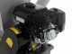 BlackStone CSB70B - Biotrituratore a scoppio - Motore a benzina Briggs &amp; Stratton 6.5 hp