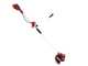 Einhell AGILLO - Decespugliatore a batteria - 36V - 2x 4Ah