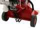 Ceccato Olindo BULL SPL12FH - Spaccalegna a scoppio - Verticale