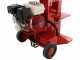 Ceccato Olindo BULL SPL12FH - Spaccalegna a scoppio - Verticale