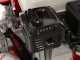 Ceccato Olindo BULL SPL12FH - Spaccalegna a scoppio - Verticale