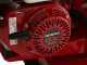 Ceccato Olindo BULL SPL12FH - Spaccalegna a scoppio - Verticale