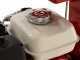 Ceccato Olindo BULL SPL12FH - Spaccalegna a scoppio - Verticale