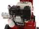 Ceccato Olindo BULL SPL12FH - Spaccalegna a scoppio - Verticale
