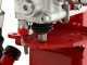 Ceccato Olindo BULL SPLE 6L - Spaccalegna elettrico - Verticale - 230V