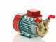 Rover Marina 20 - Pompa elettrica da travaso in bronzo - 12 V